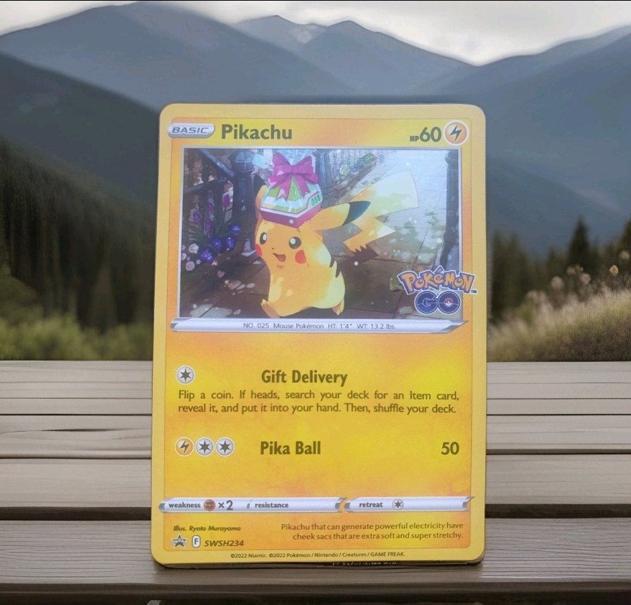 N22 CUSTOMS tweet media