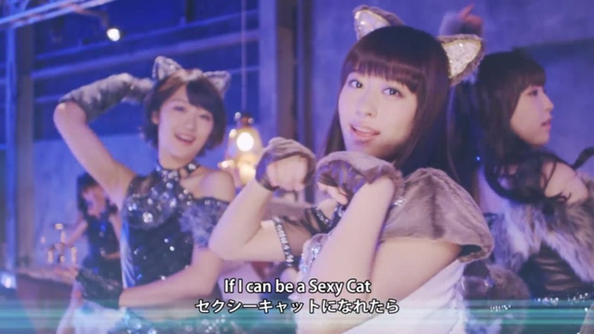 まるまるちゃん tweet media