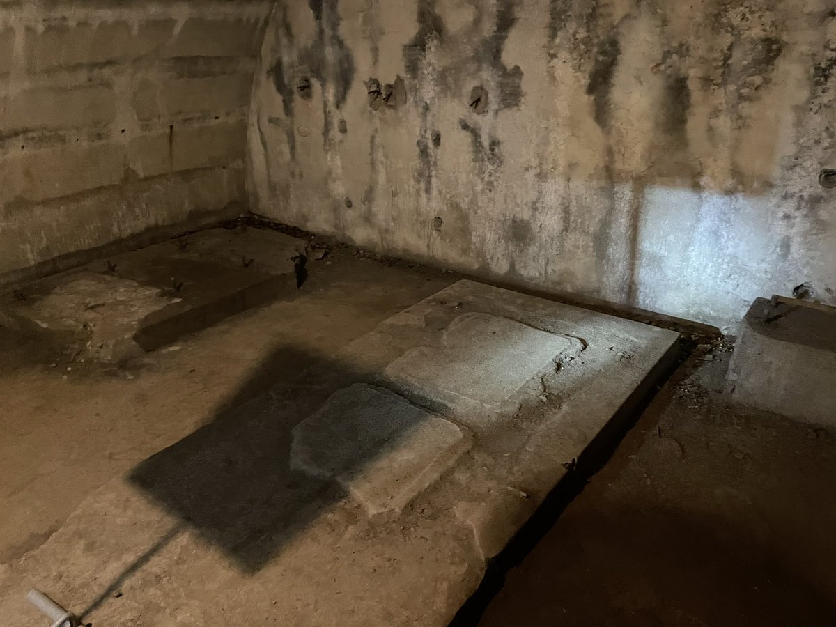 シンデン中尉@VRchat tweet media