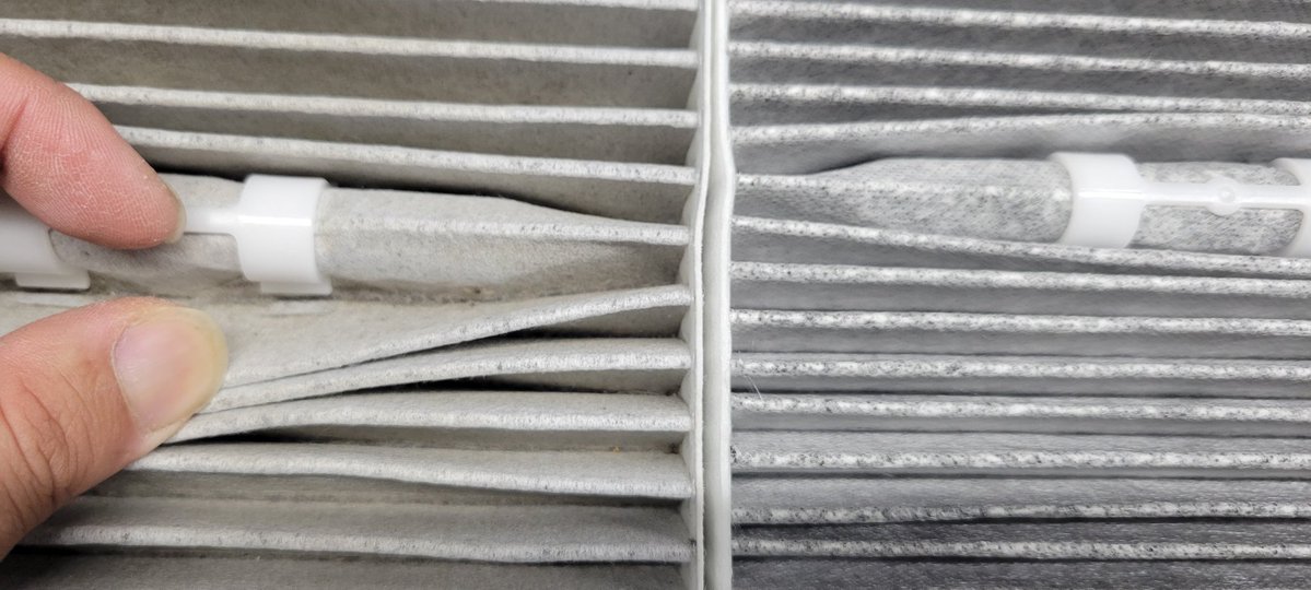 ささちゃん3 tweet media