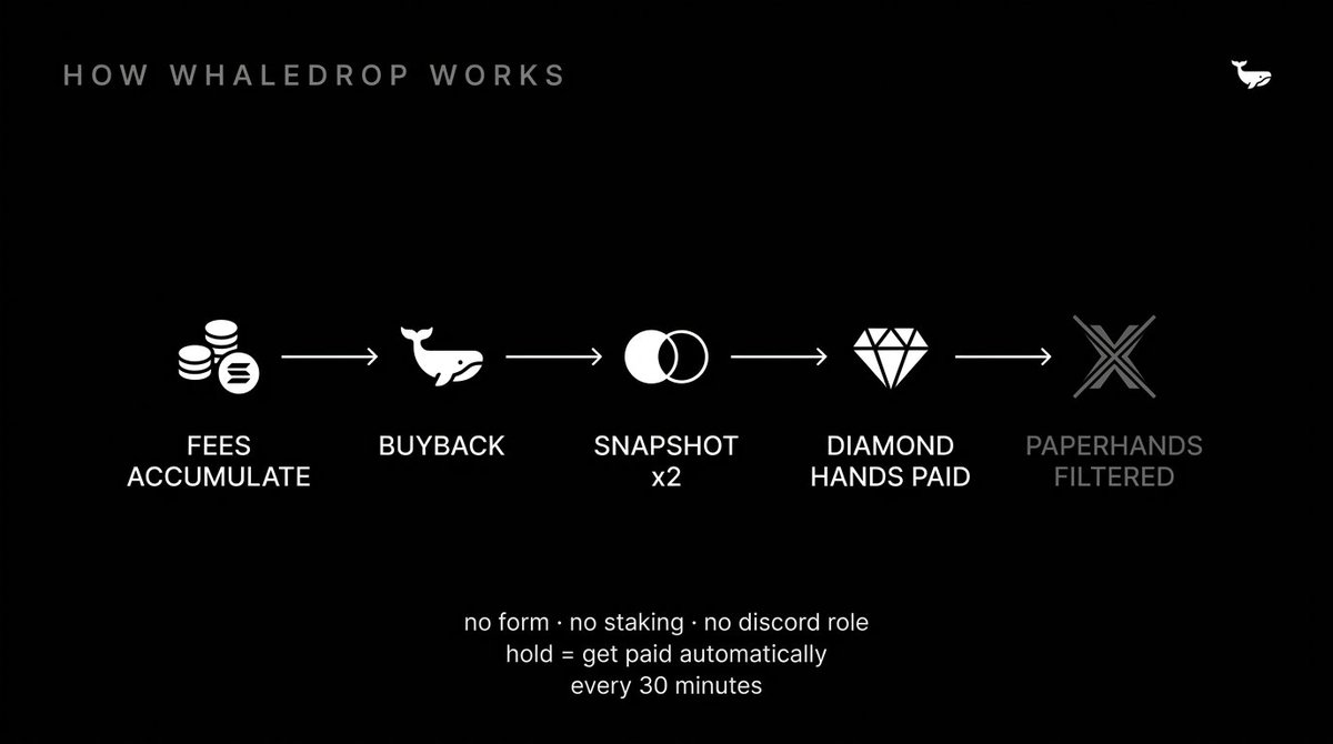 whitewhale tweet media