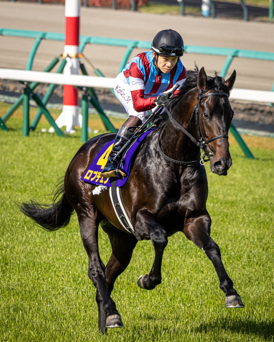 ぶらん tweet media