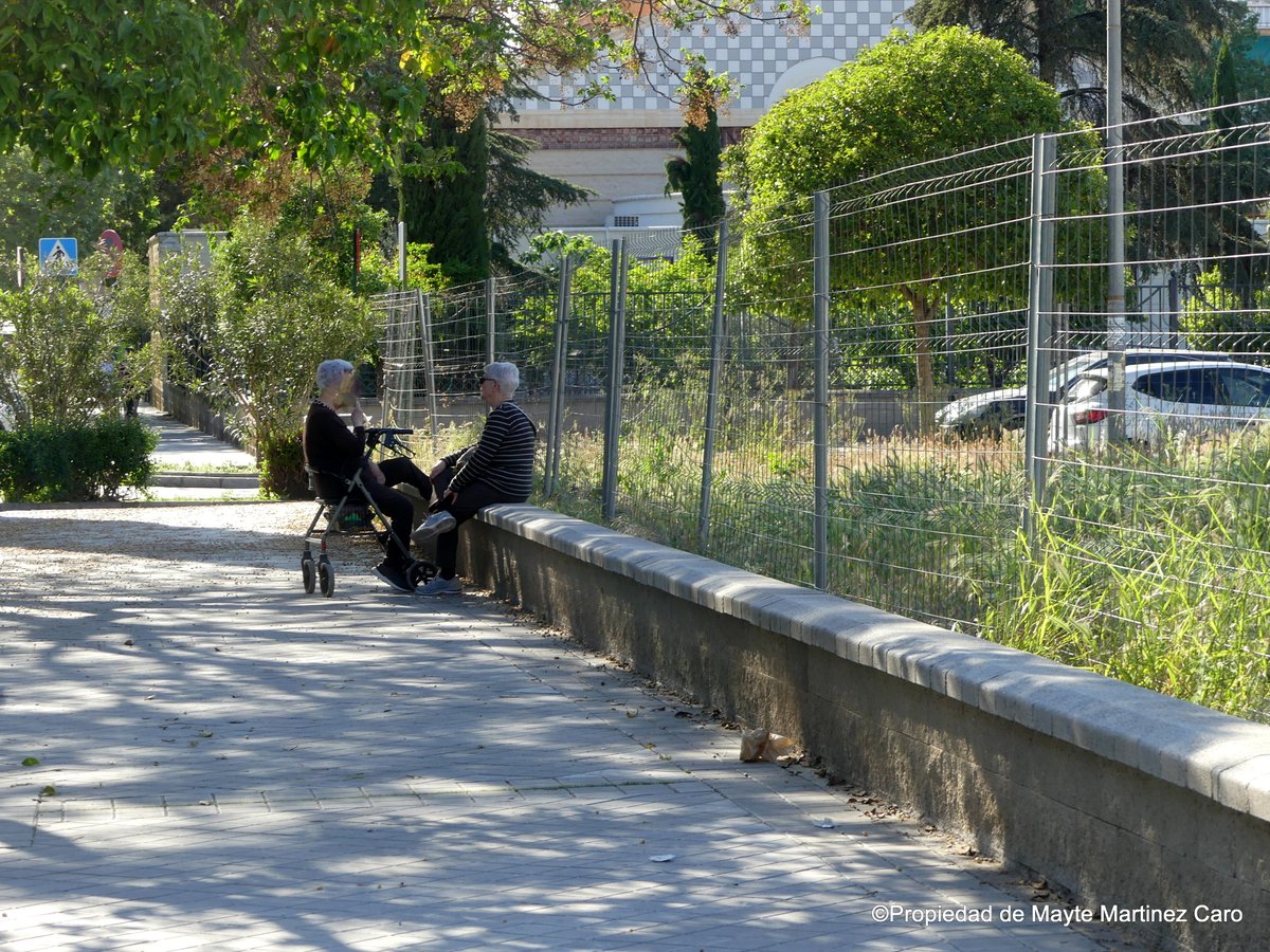 Mayte Martínez Caro tweet media