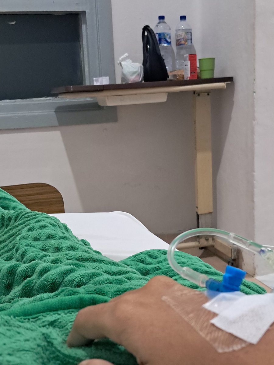 katanya ini kumbang εїз tweet media