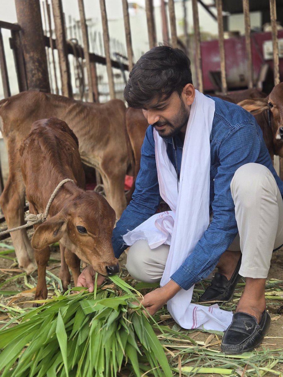 jitendra10jeet's tweet image. सेवा ही संकल्प एक मात्र उद्देश्य जीवन का🙏🚩
.
.
#gaumataseva #jitendrarajput28_ #indore
#जयशंकरमहाराज❤️