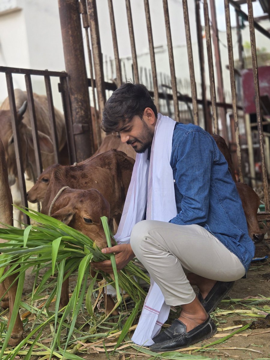 jitendra10jeet's tweet image. सेवा ही संकल्प एक मात्र उद्देश्य जीवन का🙏🚩
.
.
#gaumataseva #jitendrarajput28_ #indore
#जयशंकरमहाराज❤️