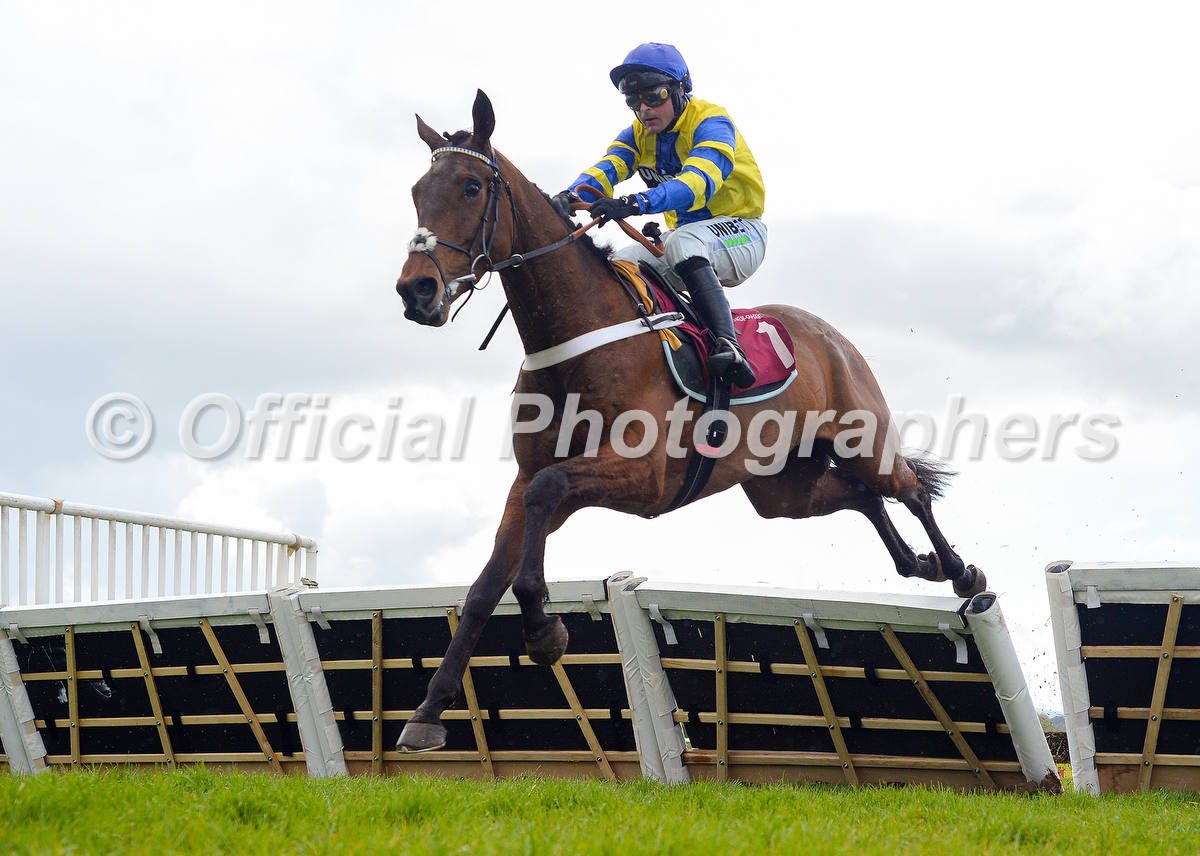 OfficialPhotographers tweet media