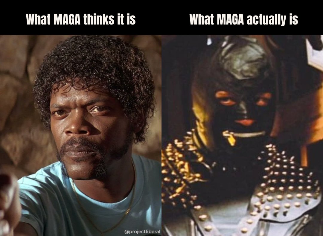 Project Liberal tweet media