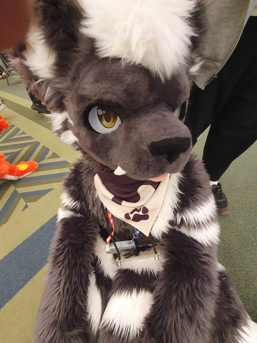 건덕불곰 🔜 수코(양일) tweet media