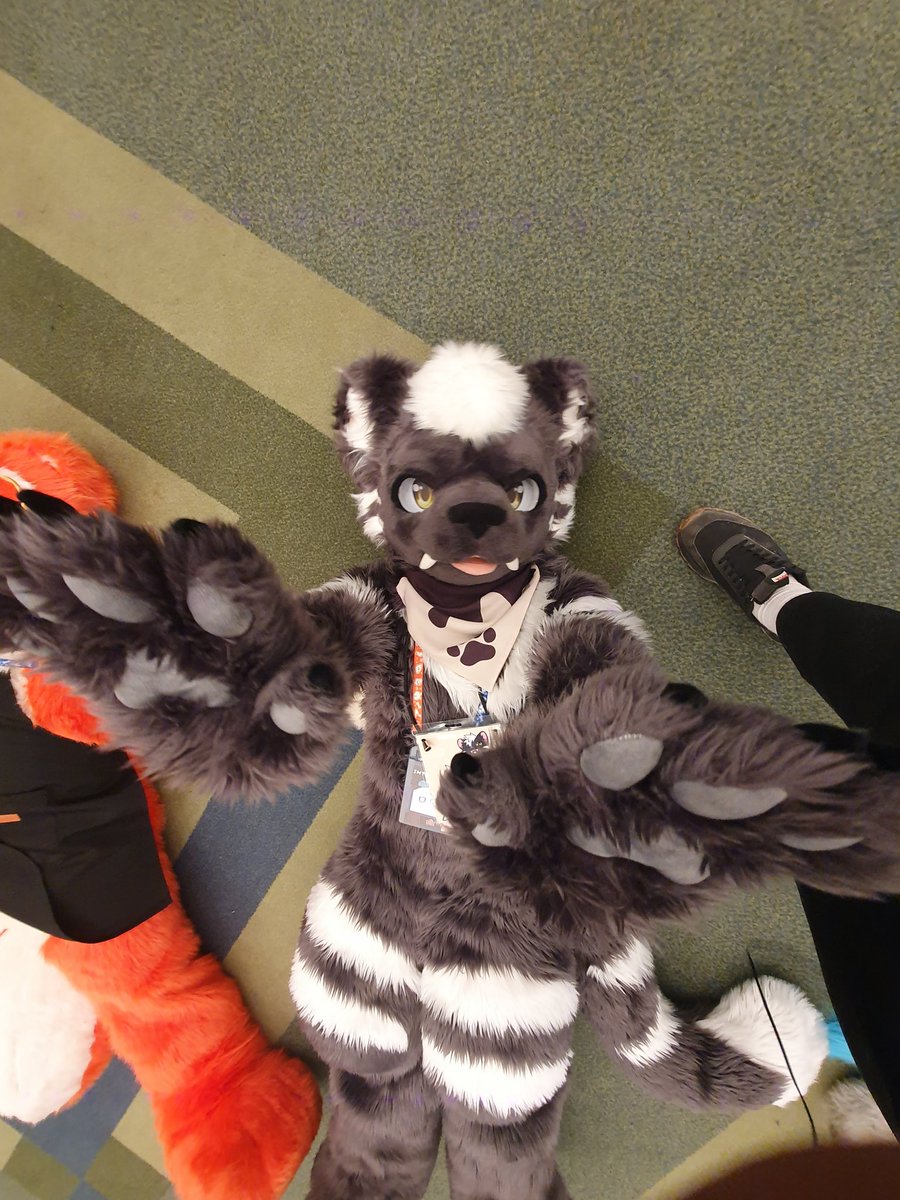 건덕불곰 🔜 수코(양일) tweet media