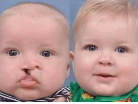 eyad.gevara tweet media