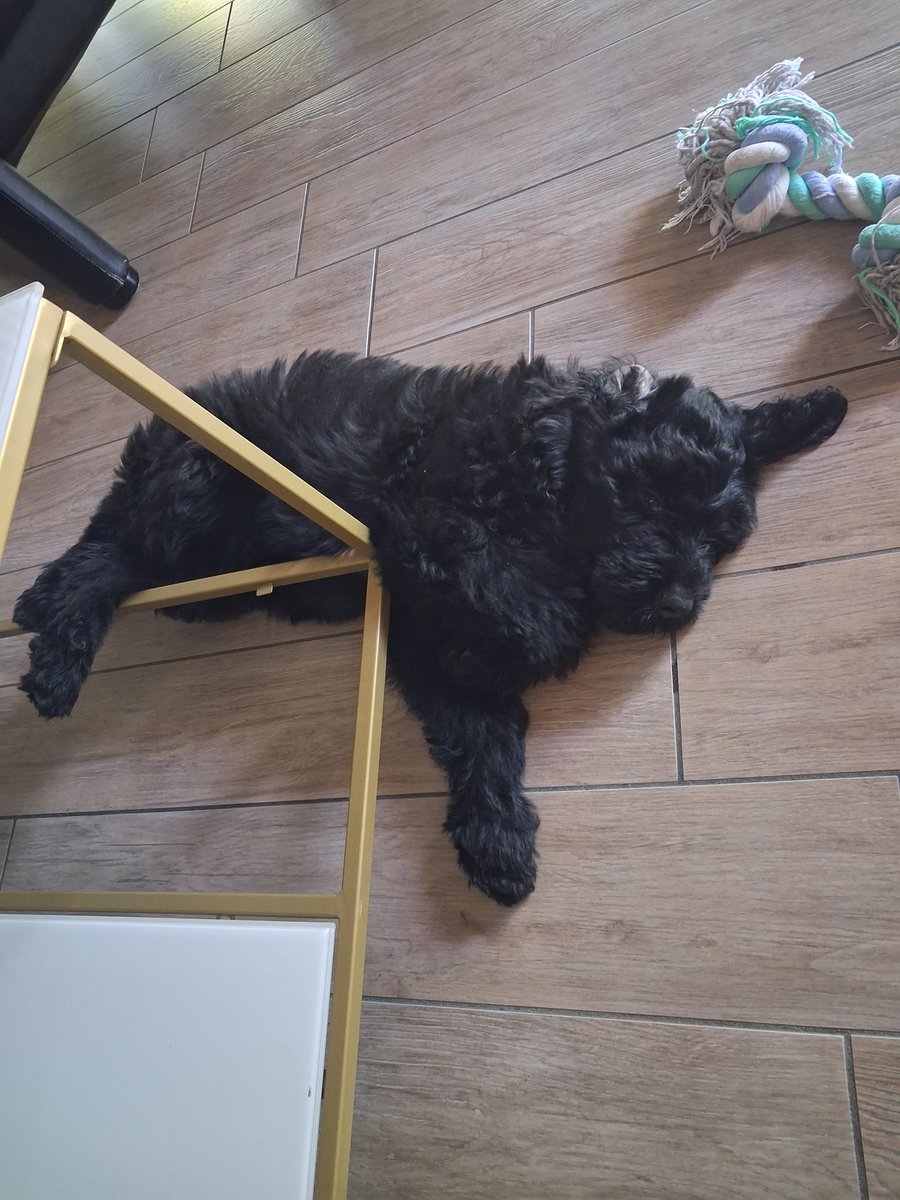 Je〽️ &⚡️TheHolograms⚡️ tweet media