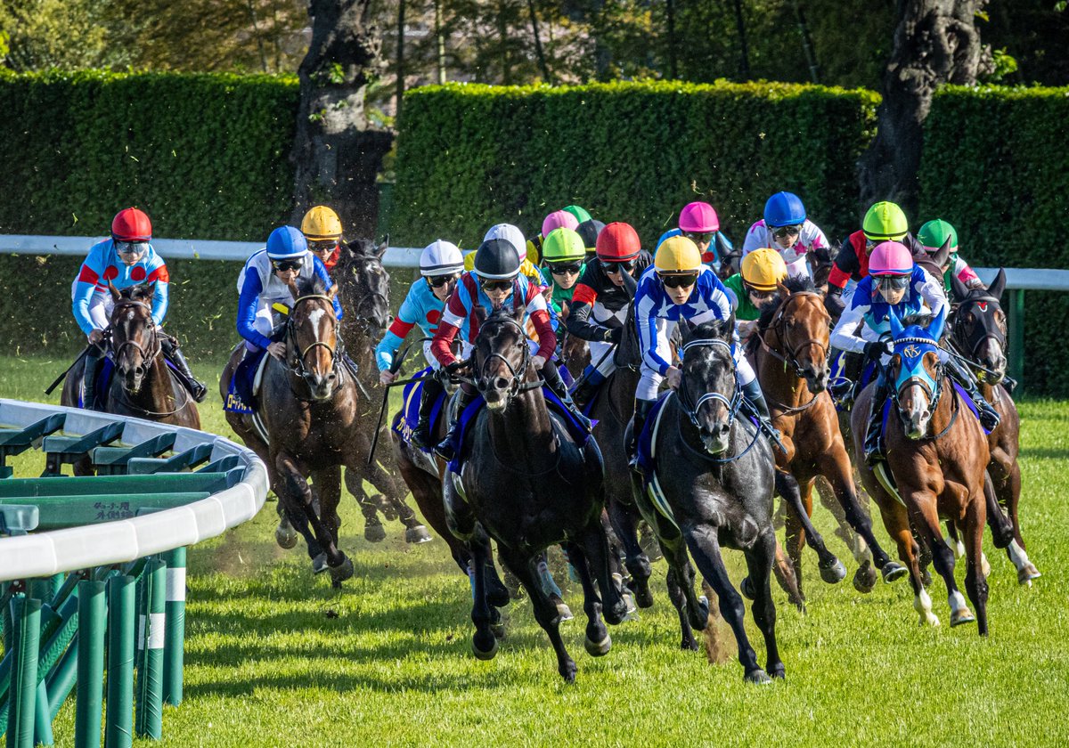 ぶらん tweet media