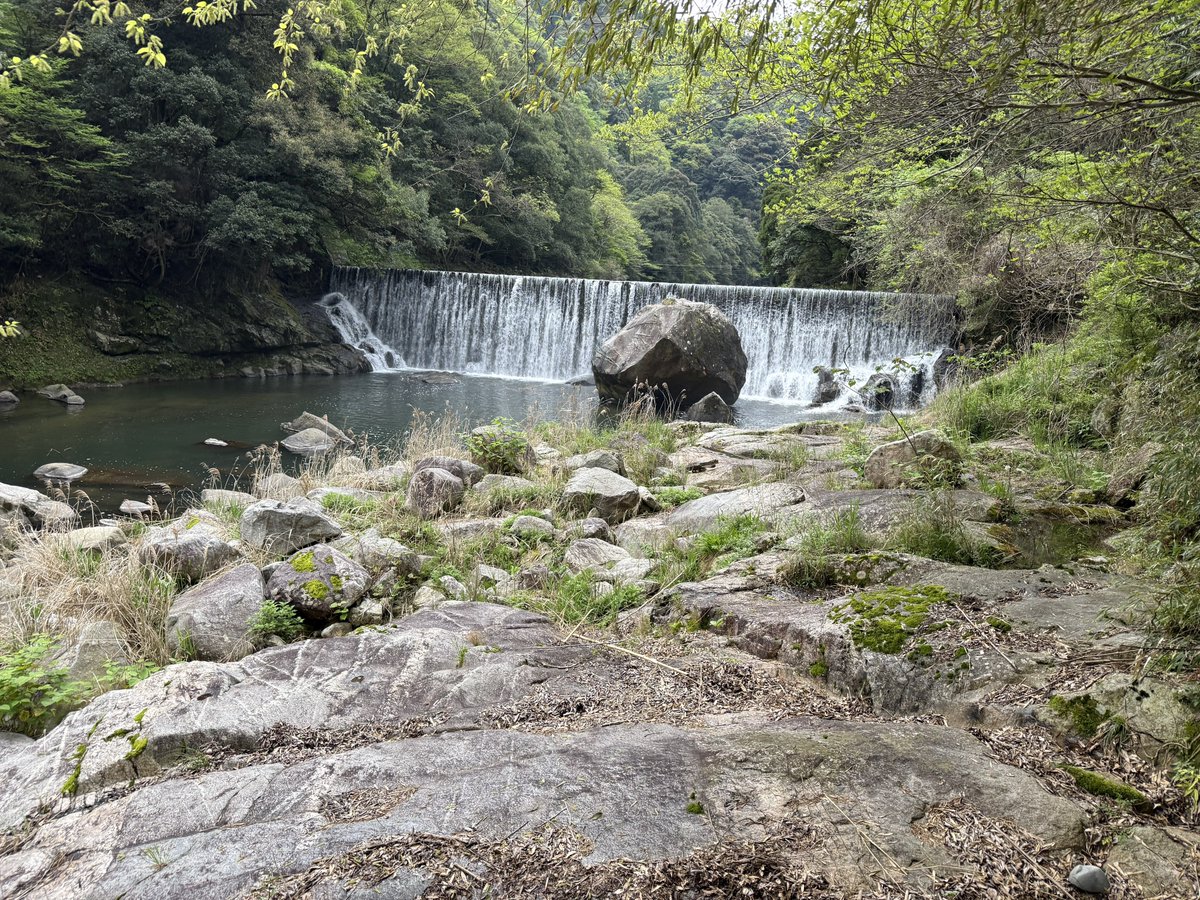 llllll_bell_llllll tweet media