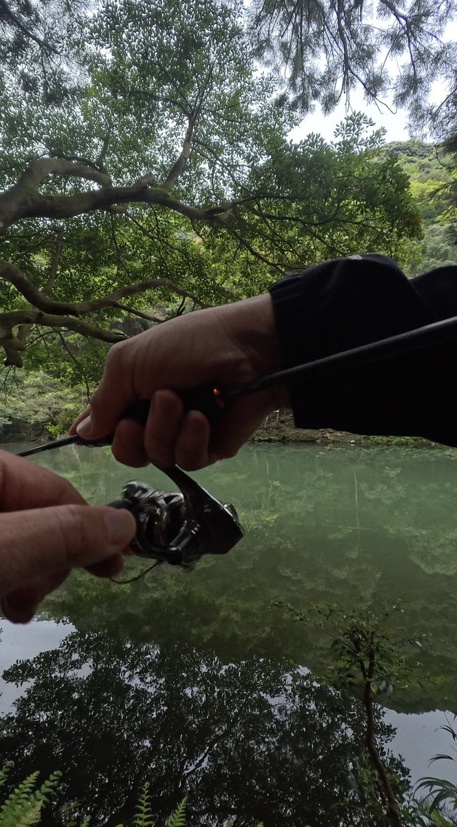 llllll_bell_llllll tweet media