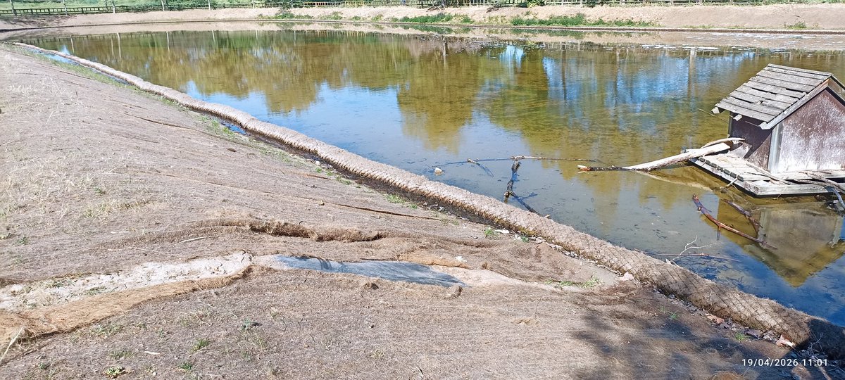 ALONSO XL ♻️ #BestDaysWhereStillAhead tweet media