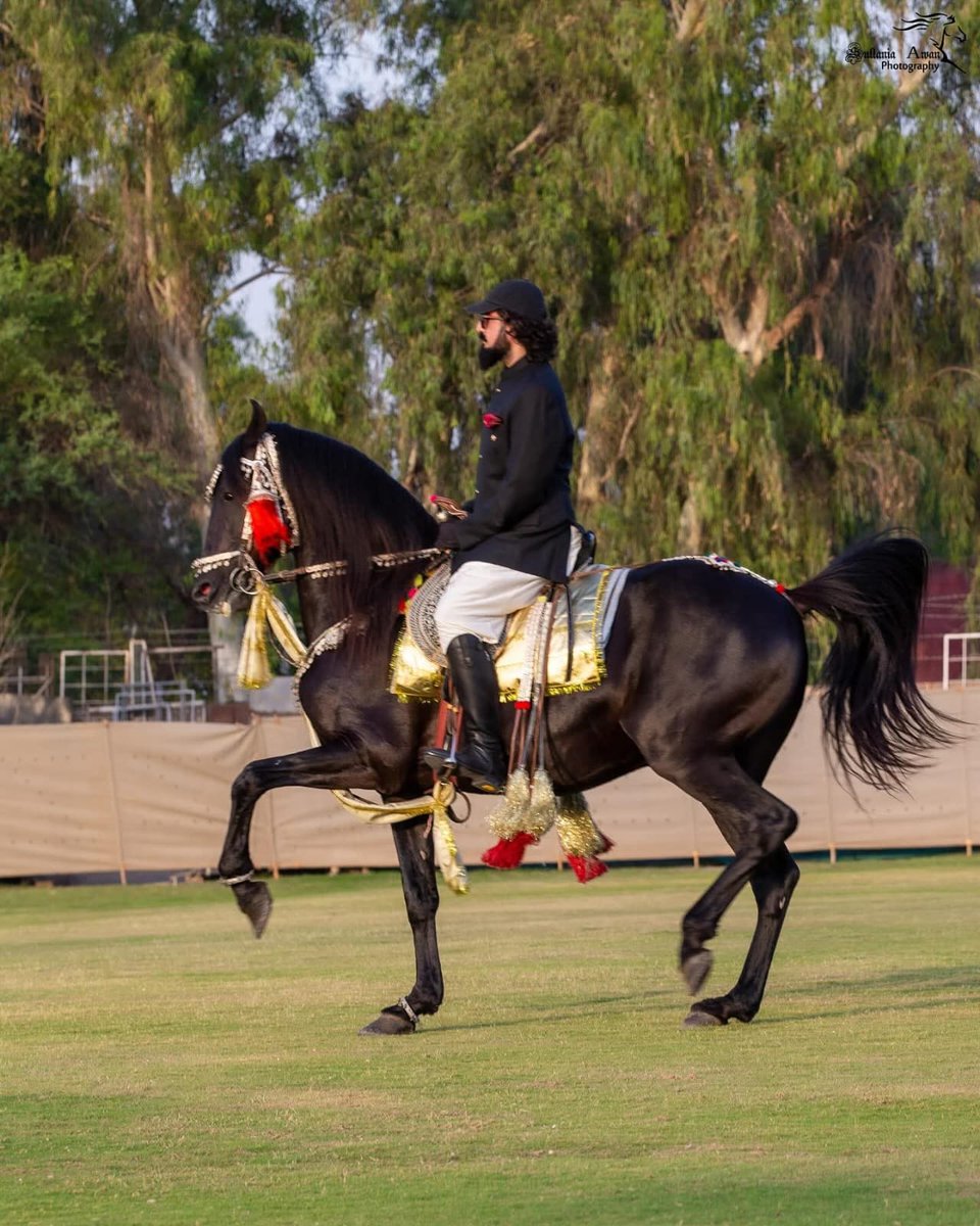 دل سے مبارکباد صاحبزادہ سلطان محمد علی! 🇵🇰
#SultanVicePresidentITPF
#SultanRisesAgain
#GreenFlagRisesAtITPF