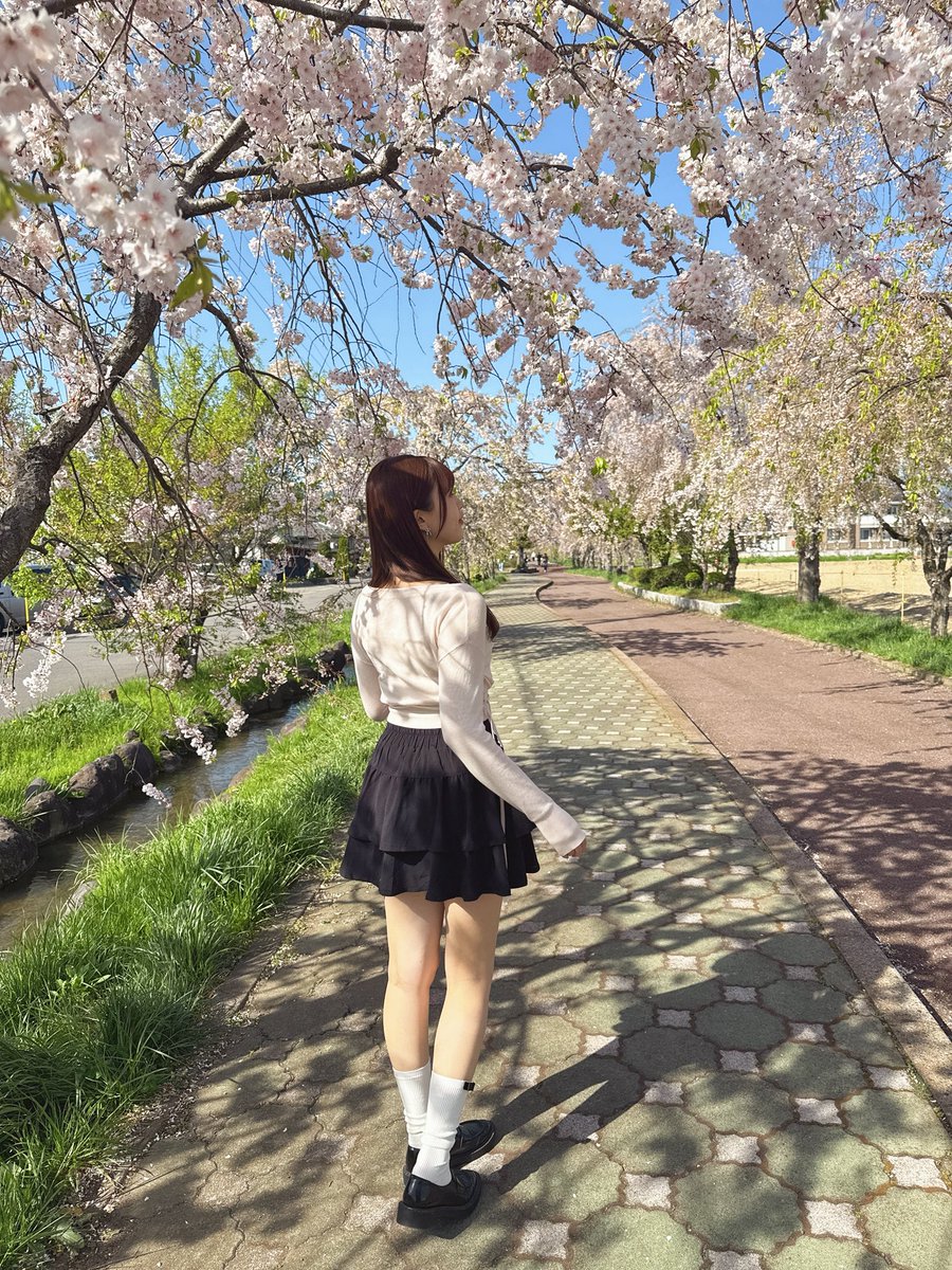 照山 楓香 tweet media