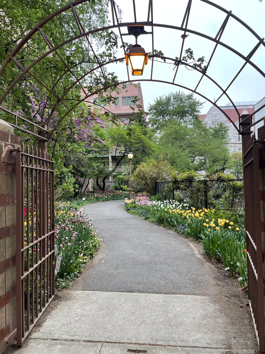 Damon DiMarco tweet media