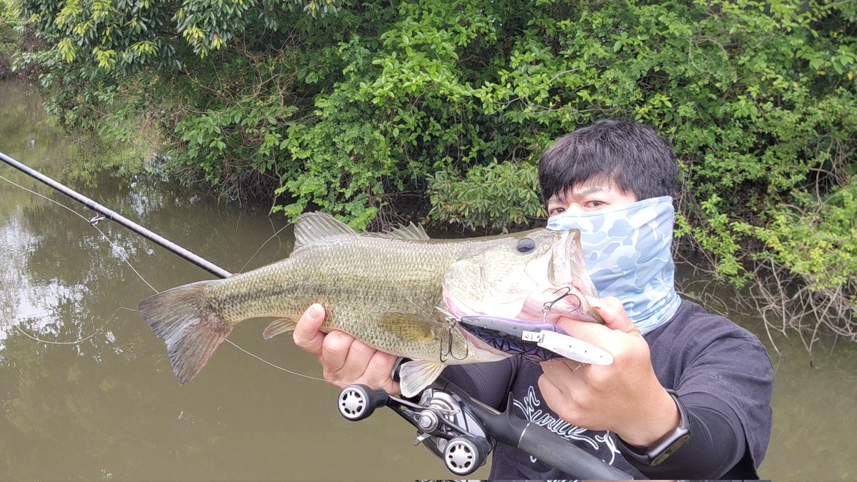 たまに実力発揮するえーさん(仮) tweet media