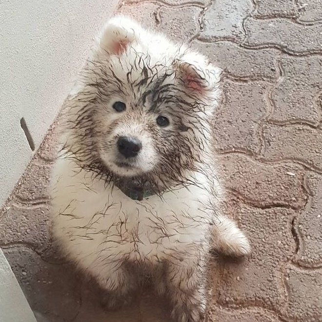 เป๊ะ 5555555555