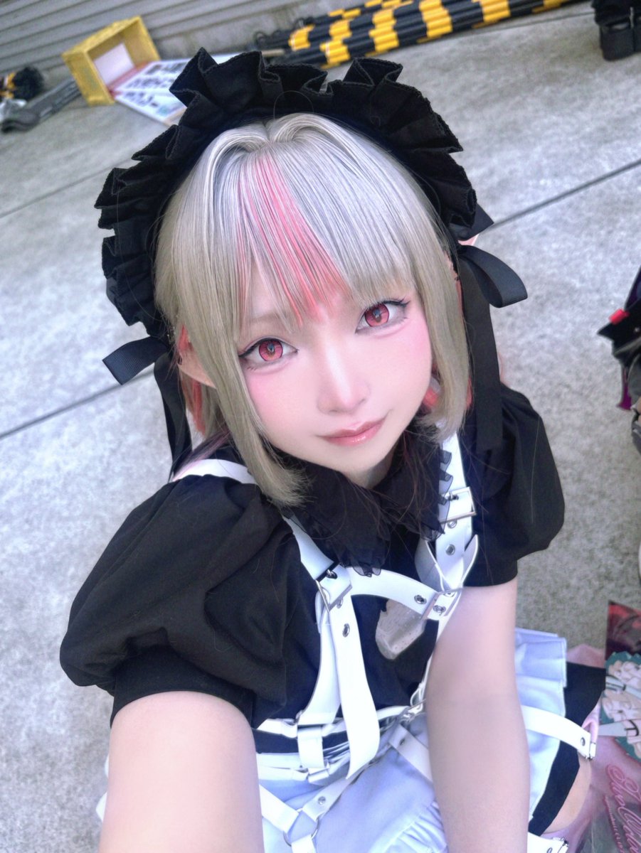 🐈 め る と 🐈 tweet media
