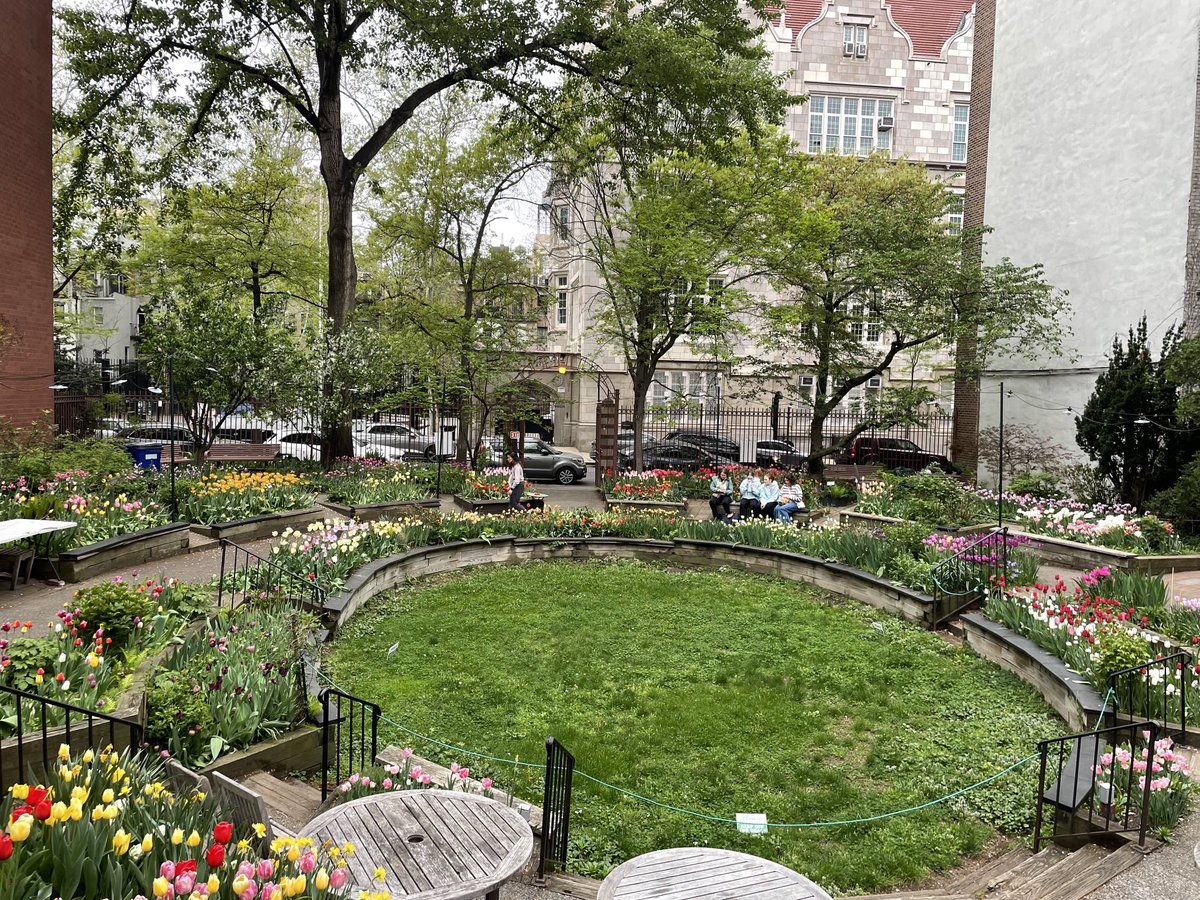 Damon DiMarco tweet media