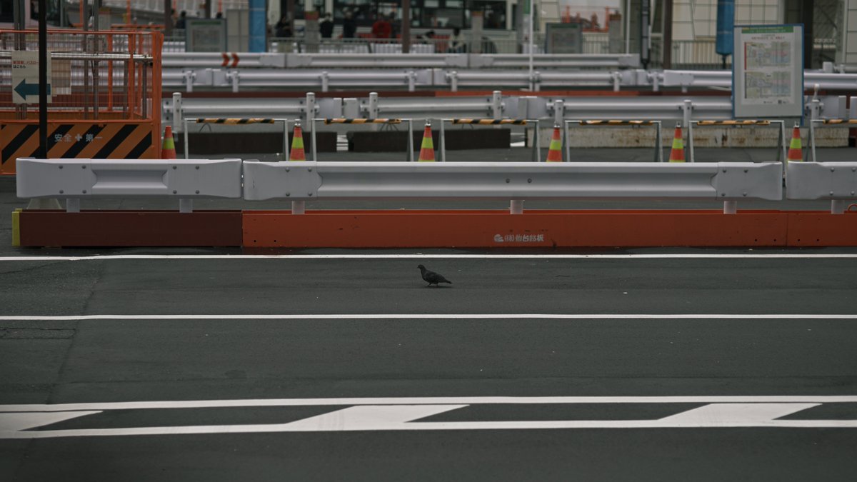 Fox_now's tweet image. #NIKON #Z6III ＋ #Megadap EFTZ21 ＋ #SIGMA 85mm F1.4 EX DG HSM ＋ 自作レシピ5号 で新宿ブラブラ 4/6