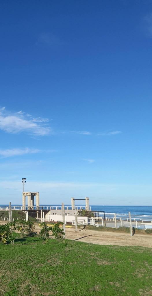 Paka22 Libertad tweet media