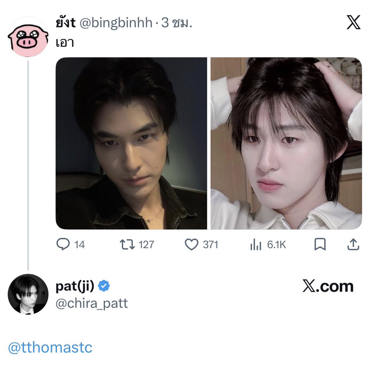 babii ; pofo ⋆ mas ꒰🐈꒱ ˚⊹ tweet media