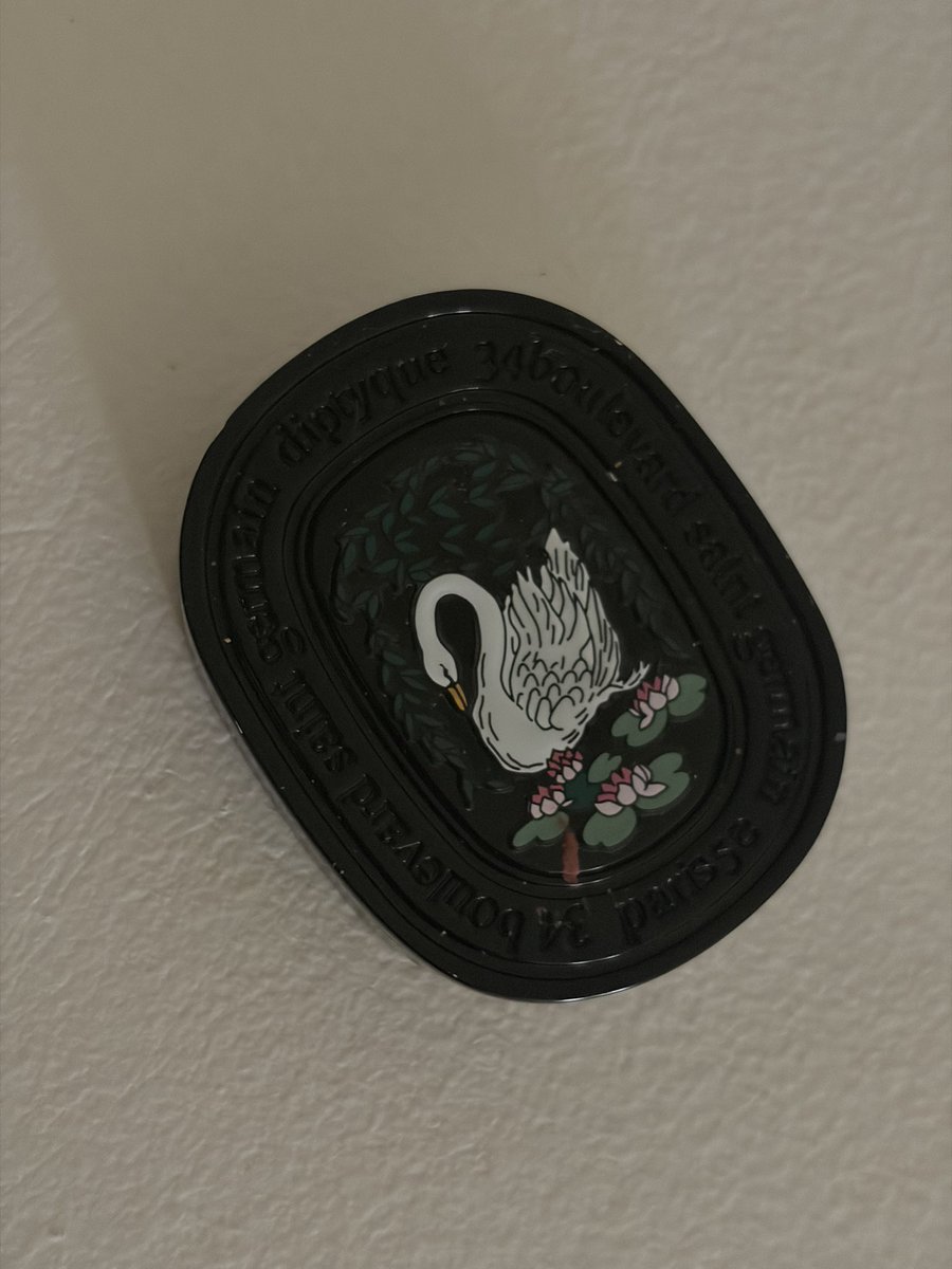 REG 🦢 tweet media