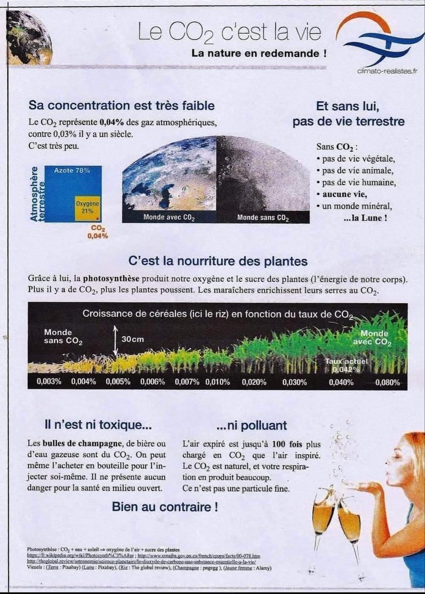 Benoit (Ben) Primeau tweet media