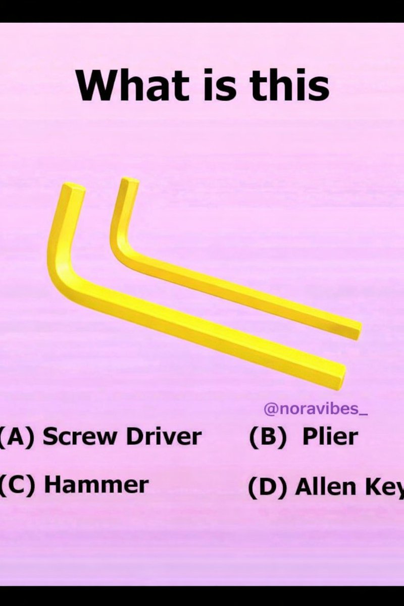 Sophie Rain tweet media