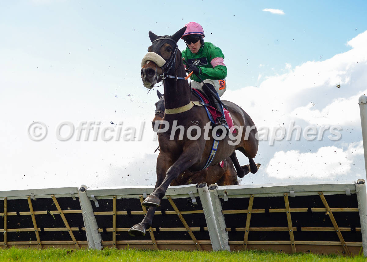 OfficialPhotographers tweet media