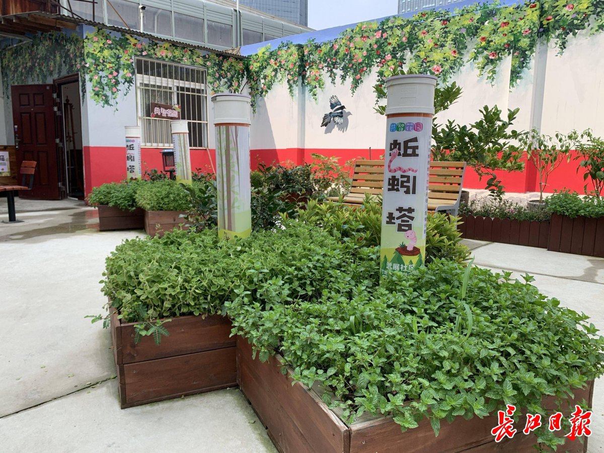 cory wommer tweet media