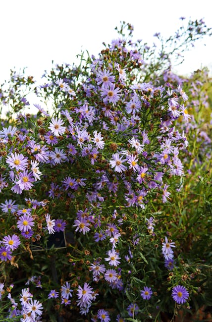 Rebecca Morrison tweet media