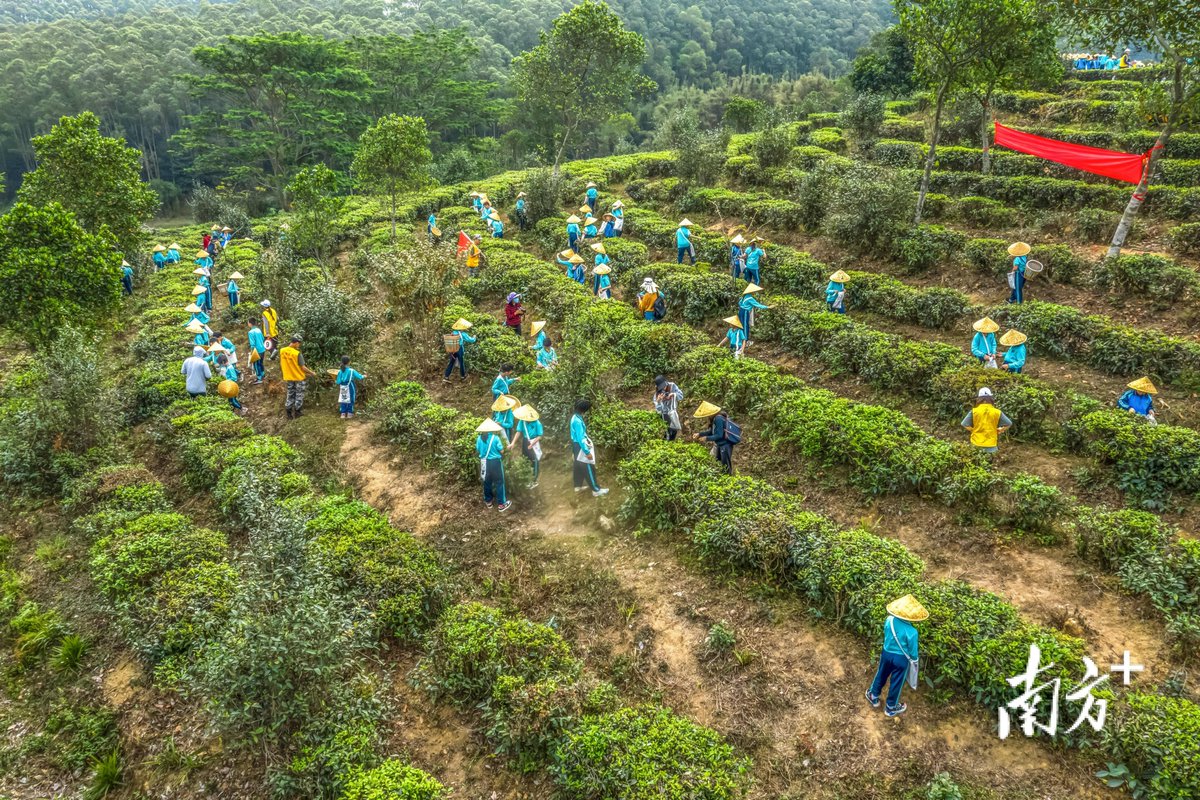 BrendaStroz tweet media