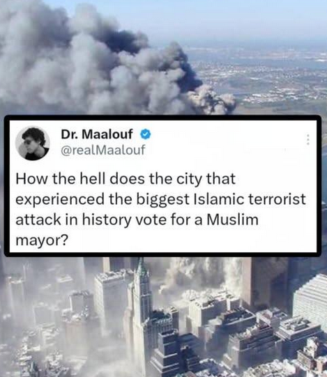 SaltyGoat17's tweet image. Good question right?