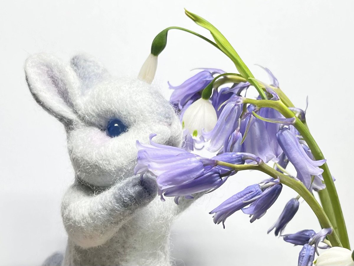 foxglove tweet media