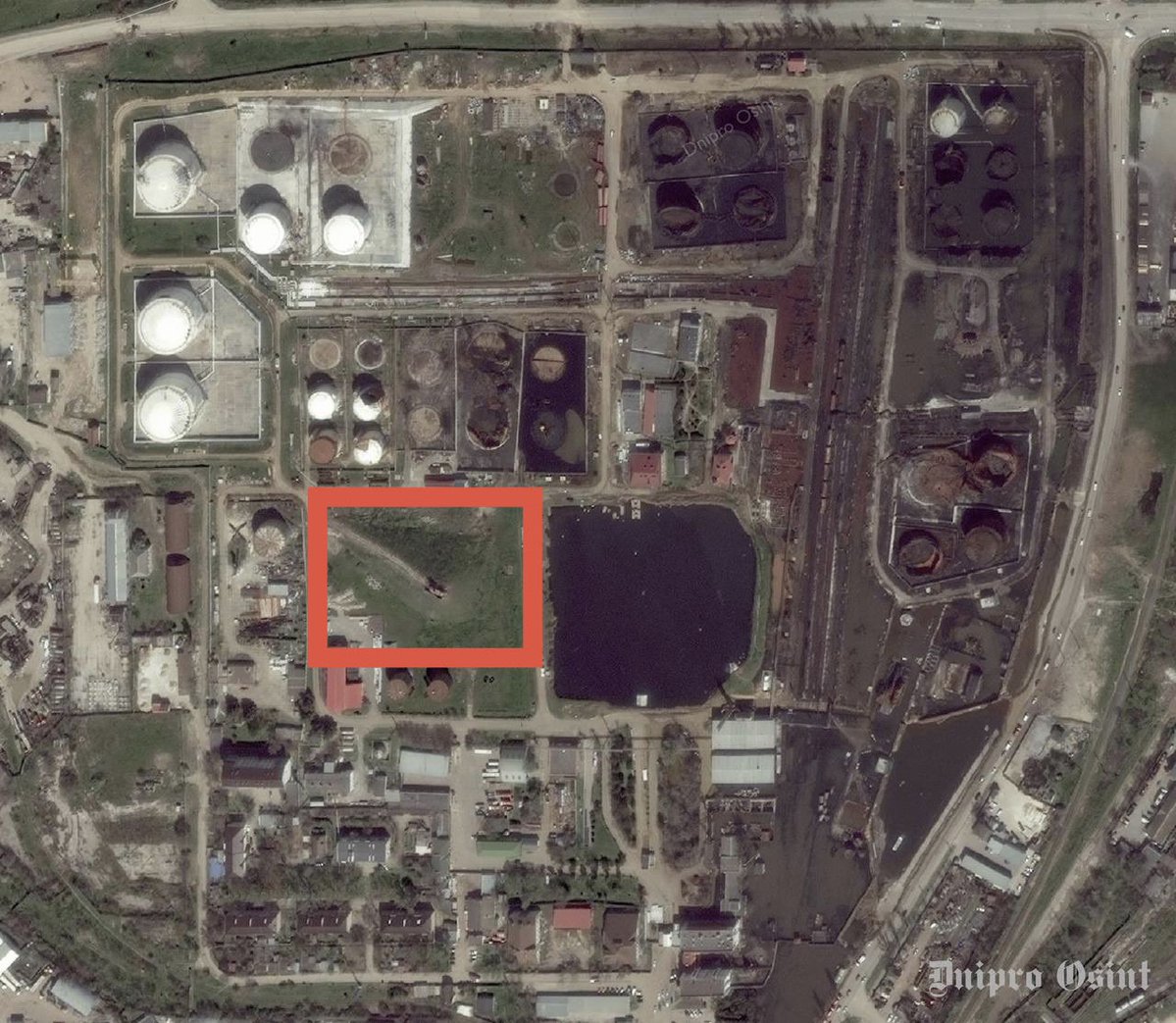 Special Kherson Cat 🐈🇺🇦 tweet media