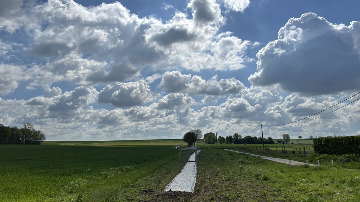 WimLaporte's tweet photo. #vrtweer Wommersom 13u https://t.co/4cUmSGIf7J