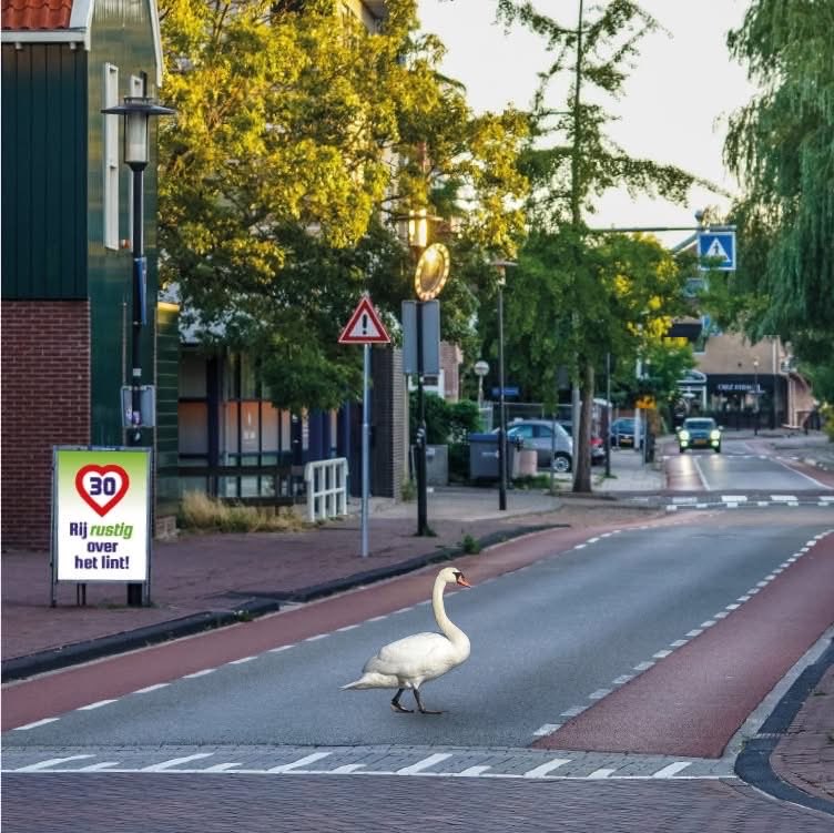 Rachid /رشيد 🇲🇦🇳🇱 tweet media