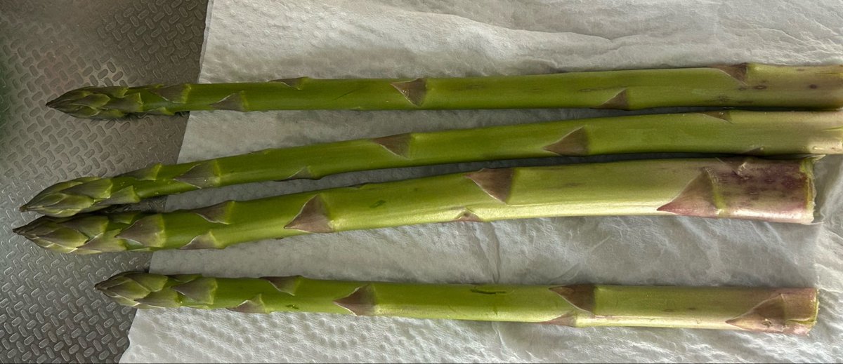 やまだもっち tweet media