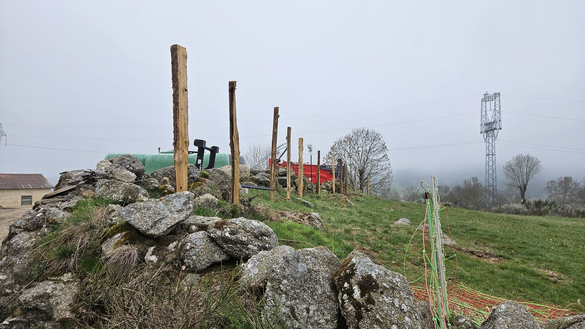 Redon Guillaume tweet media