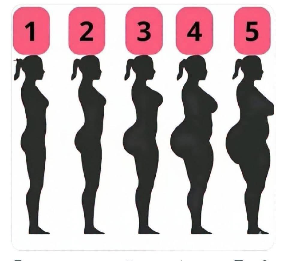 BBWLoving tweet media