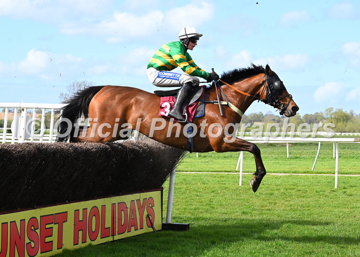 OfficialPhotographers tweet media