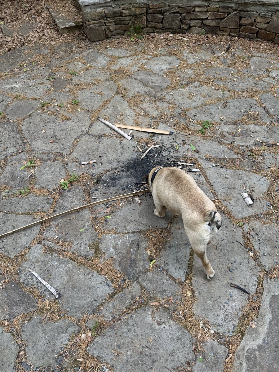 was not prepared for this to happen more than once in my life