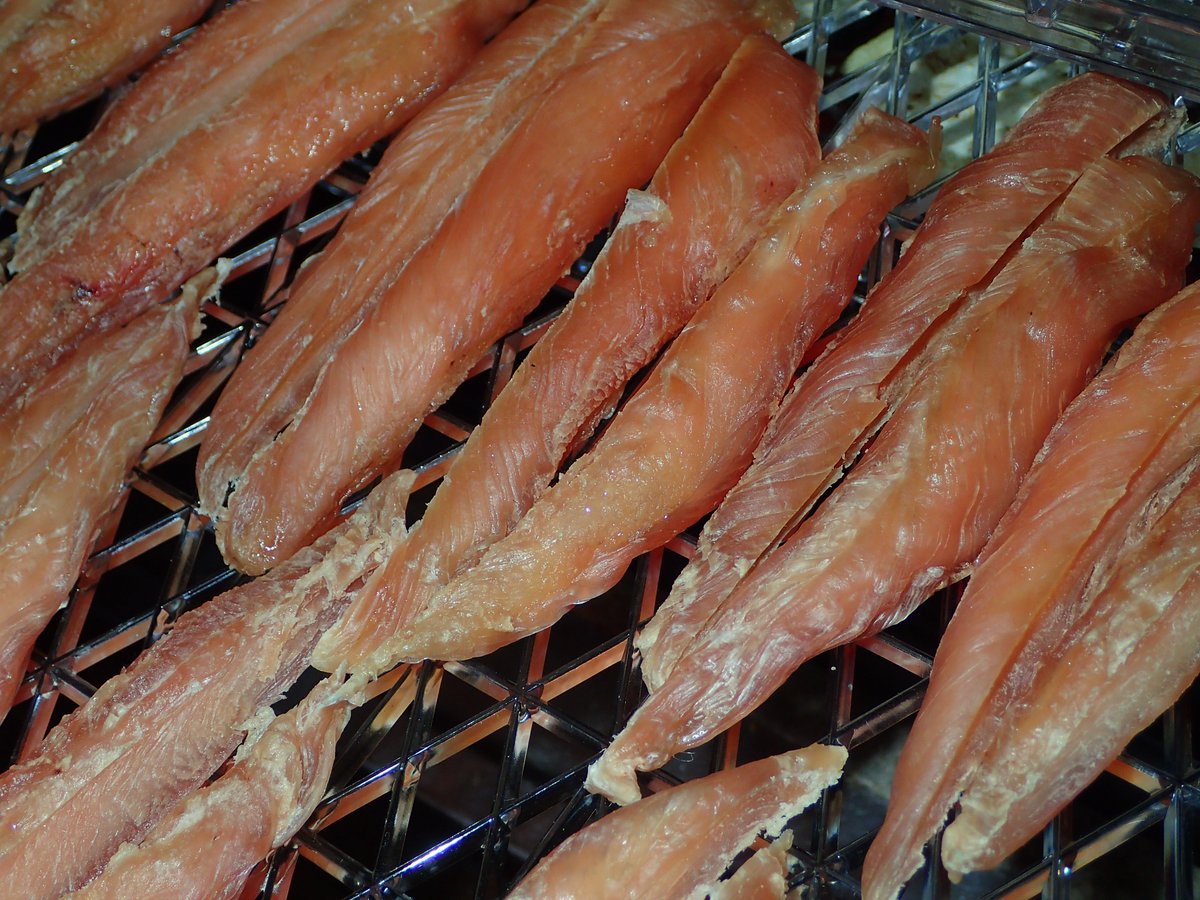 京都淡水フグ研究所 tweet media