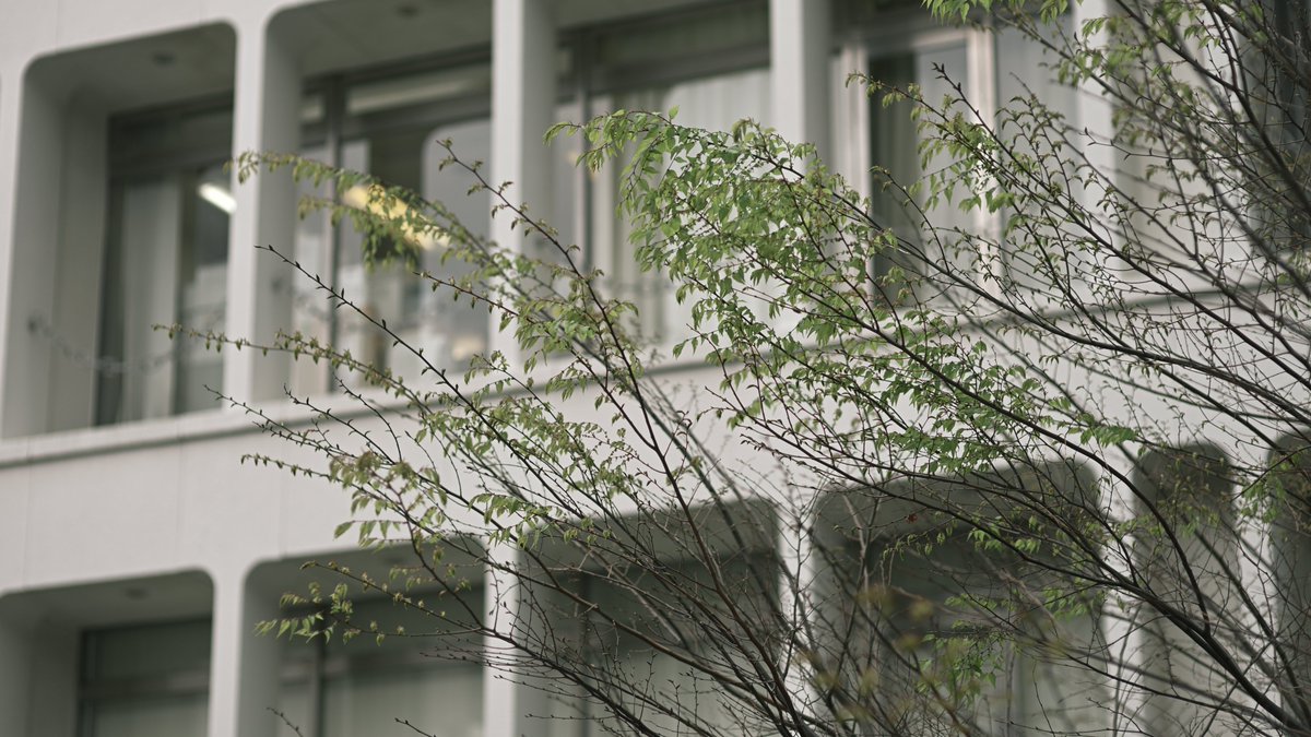 Fox_now's tweet image. #NIKON #Z6III ＋ #Megadap EFTZ21 ＋ #SIGMA 85mm F1.4 EX DG HSM ＋ 自作レシピ5号 で新宿ブラブラ 6/6