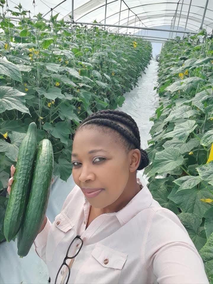 KatlegoMaseng1's tweet photo. Meet Ntando Thabethe, founder of Elite Crop in Pinetown, KZN.

She started with seeds in her backyard — today she:

• Supplies Pick n Pay
• Produces canned foods, juices & dried veggies
• Employs 40+ people
• Owns her own fresh produce market
• Runs her own delivery fleet 🚚
• Exports to Dubai 🌍

From a small garden to a global business.

BLACK EXCELLENCE 👏🏾💯